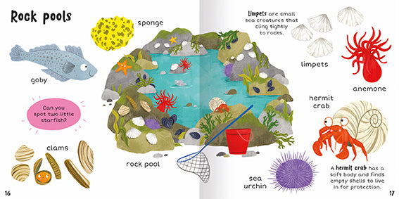 The image shows two inside-facing pages titled Rock pools from 100+ First Words In the Sea. On a white background, there is a goby fish, a sponge, and a group of clams. There is also a group of limpets, an anemone, a hermit crab and a sea urchin. The main image is a rock pool, with a bucket and a net. There are two blocks of text, one to explain that limpets cling to rocks and one to explain that hermit crabs live in empty shells. A pink panel has a question for the reader: Can you spot two little starfish?