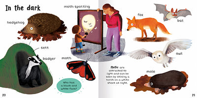 Image shows two inside pages from 100+ First Words Nature. The spread is called In the dark and shows nocturnal animals on a white background, including a hedgehog on some leaves, a badger leaving its sett, a mole, an owl, a fox, red and black moth and a bat. There is also an image of a child and adult moth spotting. A question on a green panel asks who has a black and white face? And a short paragraph explains that moths are attracted to light and can be seen by shining a torch on a white sheet at night.