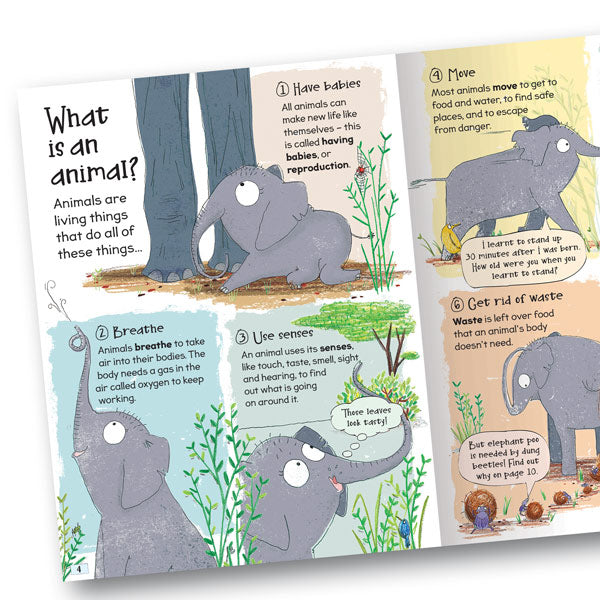 Curious Questions & Answers About Animals