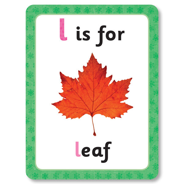 An image of a letter flashcard from Miles Kelly&