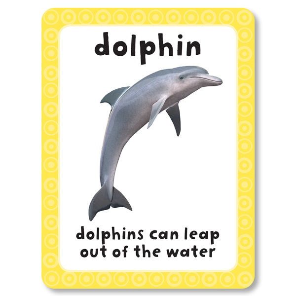 An image of an animal flashcard from Miles Kelly&