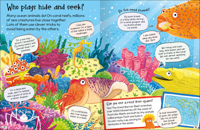 Curious Questions & Answers About Our Oceans
