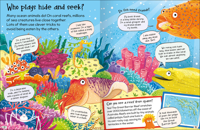 Curious Questions & Answers About Our Oceans