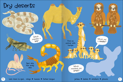 Lots to Spot: Animals! Sticker Book