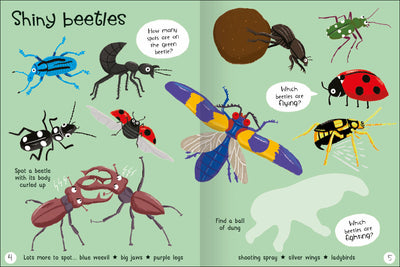 Lots to Spot: Bugs! Sticker Book