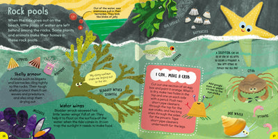 'Rock pools' spread from First Ocean Book by Miles Kelly, showing what you can find in rock pools. The illustrations show bladder wrack seaweed, mussels, a crab and a starfish amongst other sea creatures.