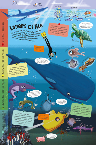 'Layers of Life' poster from from First Ocean Book by Miles Kelly, showing the different ocean levels and what sea creatures live there including turtles, sharks, whales and sea spiders.  