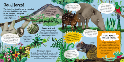 'Cloud forest' spread from First Rainforest Book by Miles Kelly. The spread shows different species of wildlife that live in this habitat, including the three-toed sloth, tapirs and plants such as orchids and bromeliads.