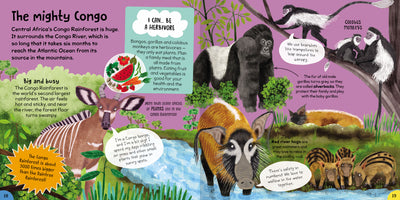'The mighty Congo' spread from First Rainforest Book by Miles Kelly. The spread shows lots of different animals in their Congo habitat including Silverback gorillas, colobus monkeys, red river hogs and Congo bongos. 