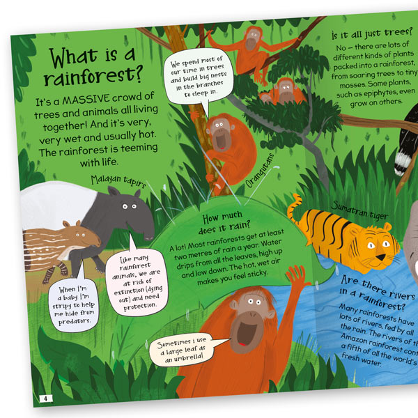 Curious Questions & Answers About Rainforests