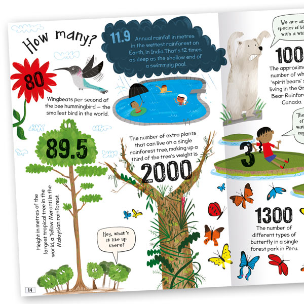Curious Questions & Answers About Rainforests