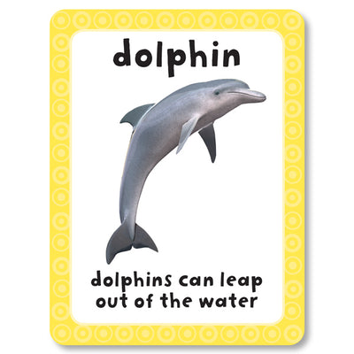 An image of an animal flashcard from Miles Kelly's Get Set Go Animals Flashcards set. There is an image of a "dolphin" and a description of a dolphin to help children learn about animals.