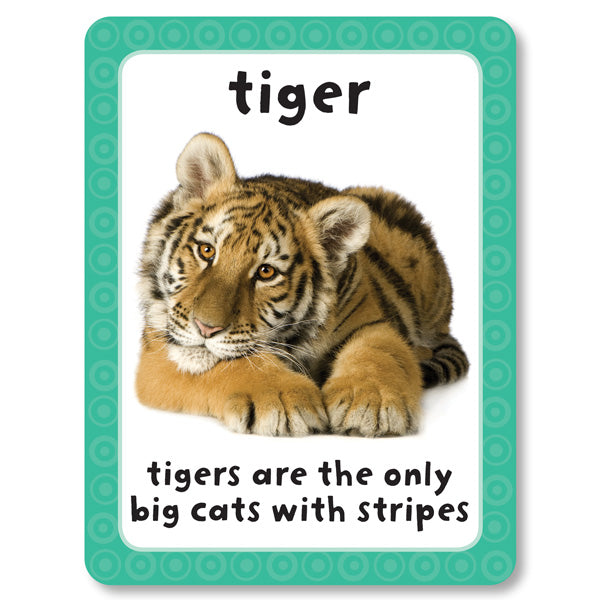 An image of an animal flashcard from Miles Kelly&