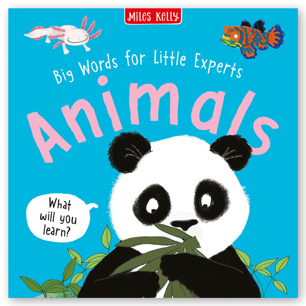 Big Words for Little Experts: 4-pack