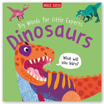 Big Words for Little Experts: 4-pack