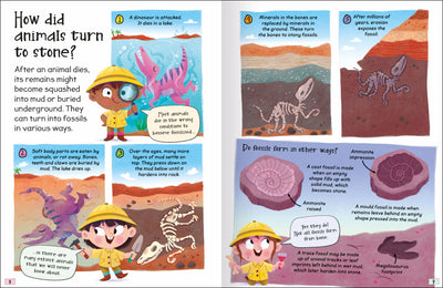 Curious Questions & Answers About Fossils