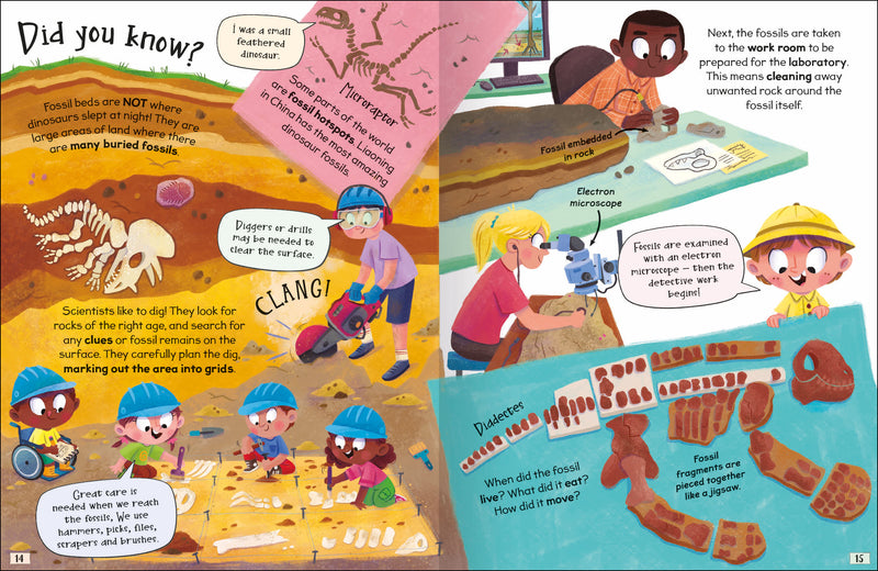 Curious Questions & Answers About Fossils