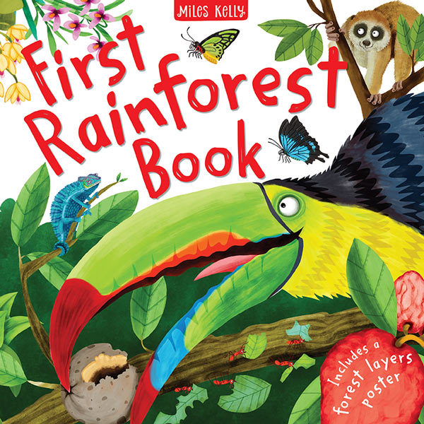 First Rainforest Book cover from Miles Kelly. The cover features a large toucan bird.
