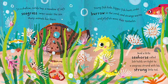 The image shows two facing pages from inside the picture storybook, Seb the Seahorse. The full colour scene shows Seb with some other sea creatures on the sandy seafloor. There are fish, crabs, worms and coral. Seb is holding onto a strand of seaweed with his little tail. 
