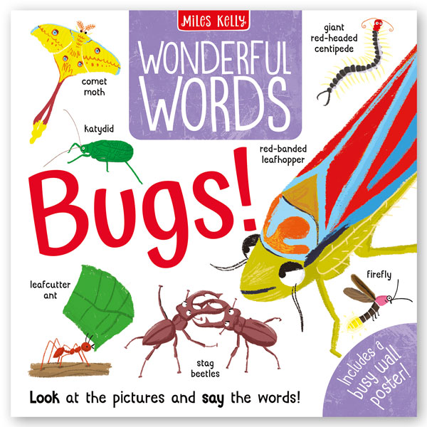 Wonderful Words: Bugs!